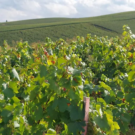 Capital De Champagne Apartmán *