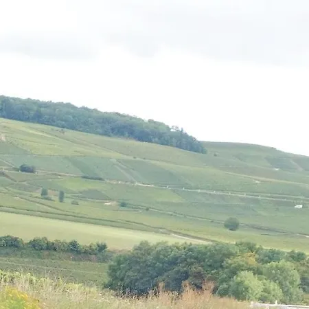 Capital De Champagne