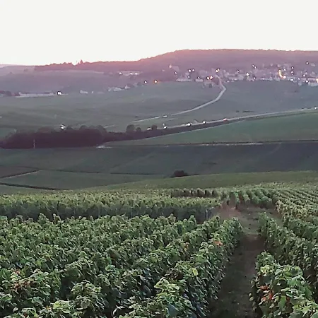 Apartmán Capital De Champagne