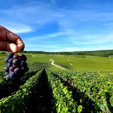 Апартаменты Capital De Champagne Эперне