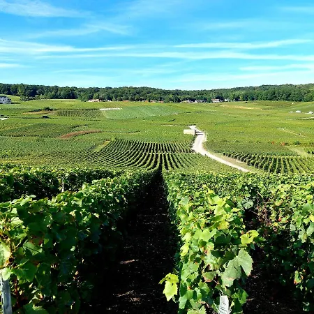 Apartmán Capital De Champagne