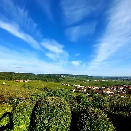 Capital De Champagne *