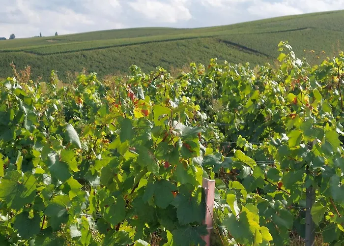 Capital De Champagne Апартаменты *