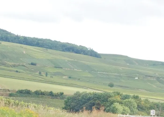 Capital De Champagne