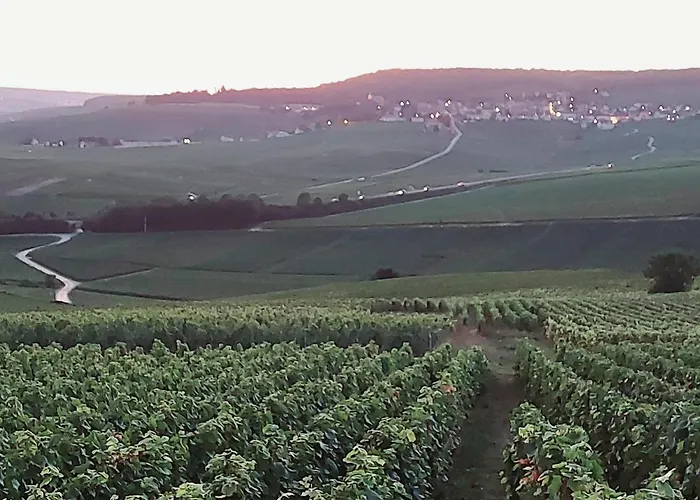 Апартаменты Capital De Champagne
