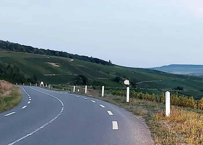 Апартаменты Capital De Champagne