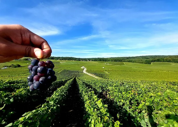 Апартаменты Capital De Champagne Эперне