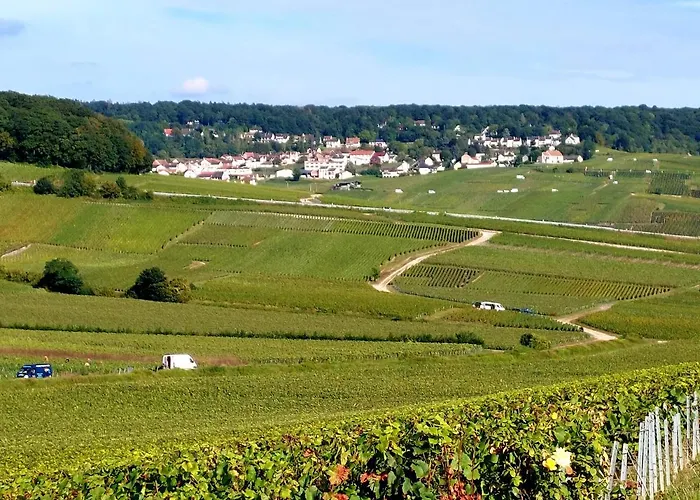 Capital De Champagne *