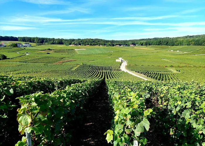 Апартаменты Capital De Champagne