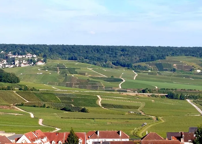 Capital De Champagne Апартаменты