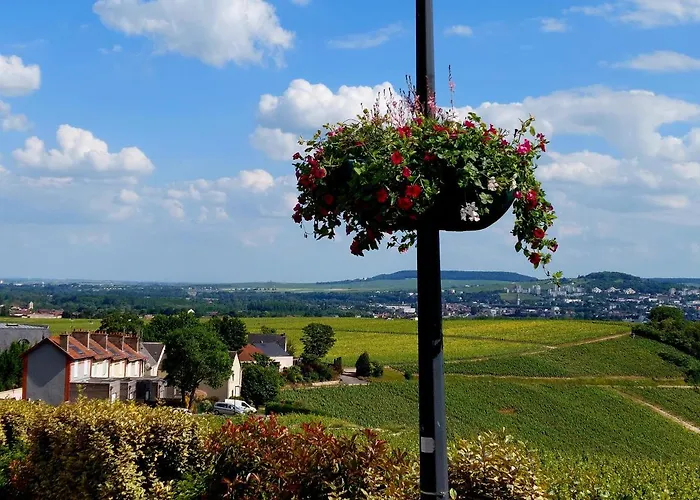 Апартаменты Capital De Champagne *